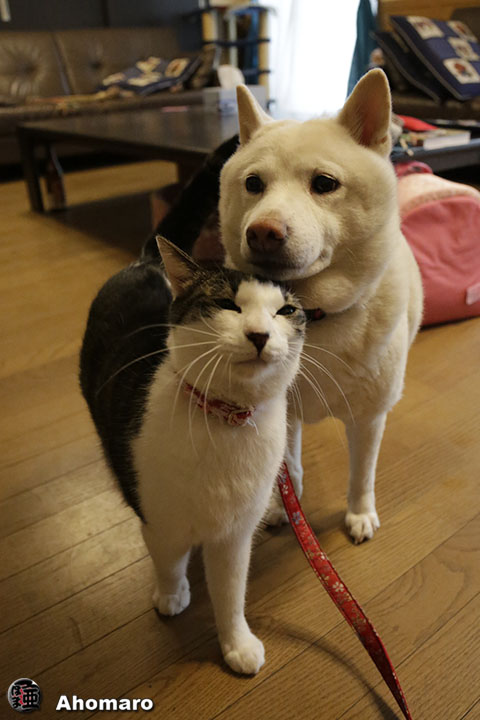 写真00