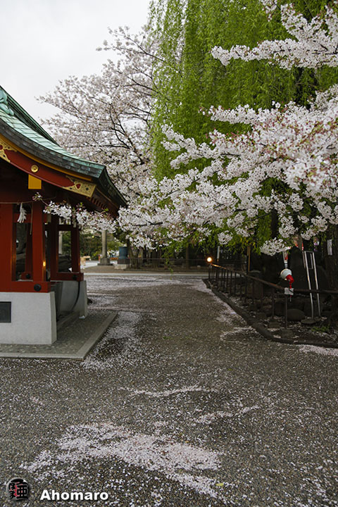 写真00
