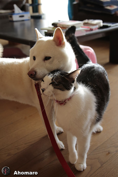 写真00