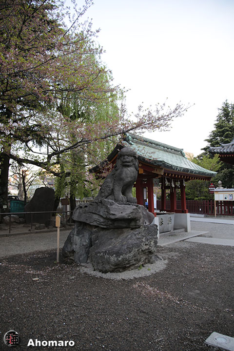 写真00