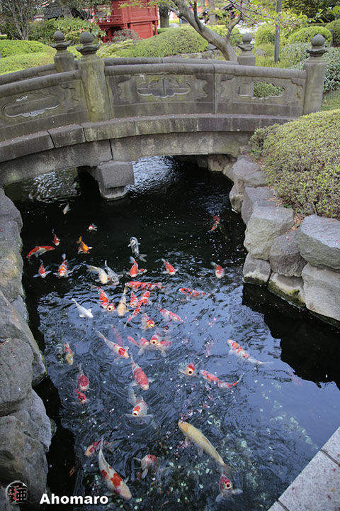 写真00