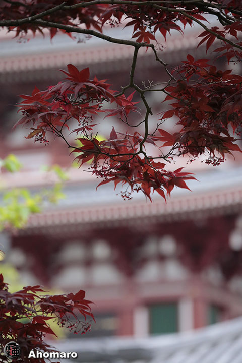 写真00