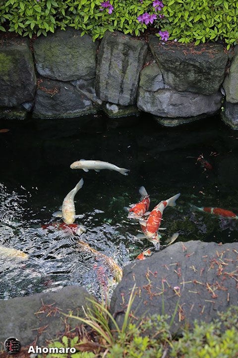 写真00