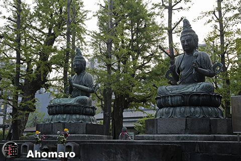 写真00