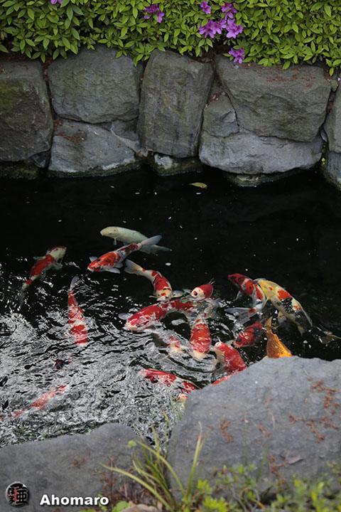 写真00