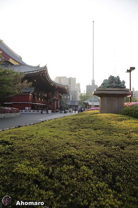 写真00