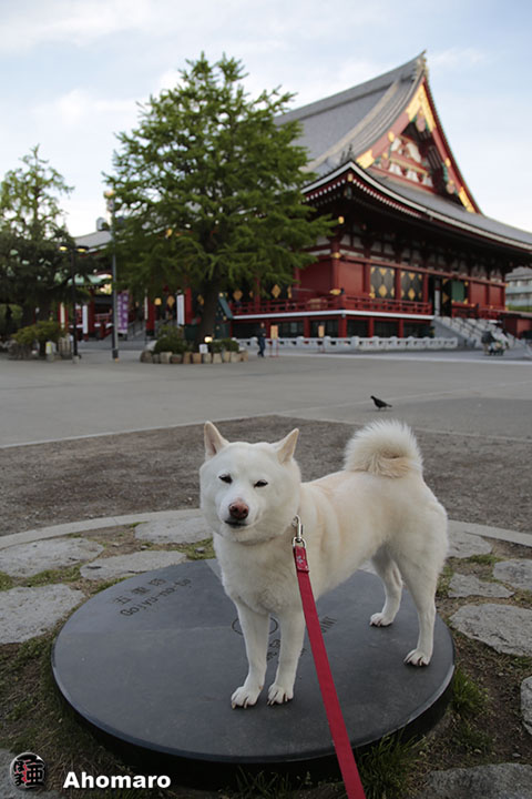 写真00