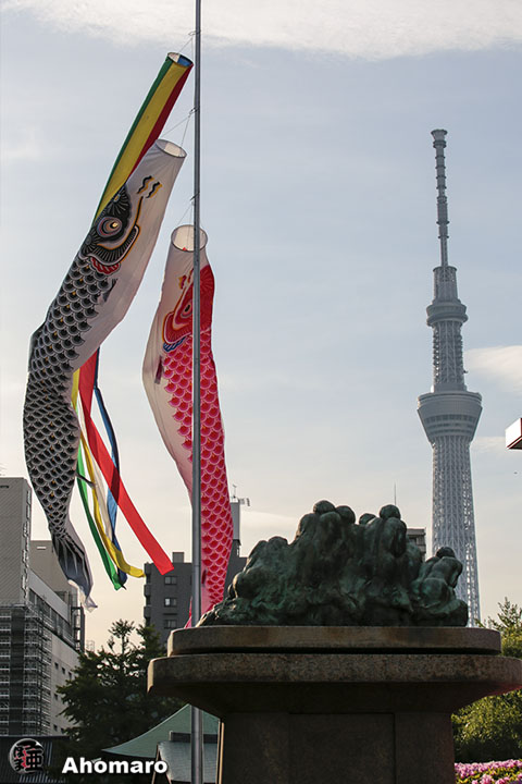 写真00