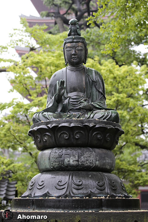 写真00