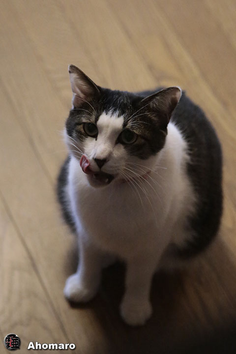 写真00
