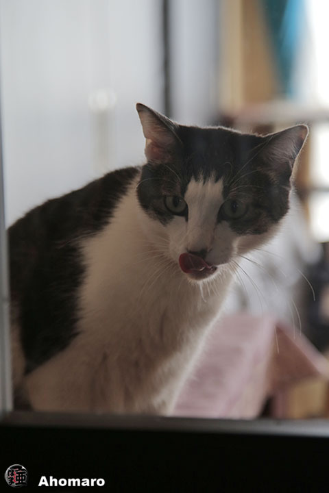 写真00