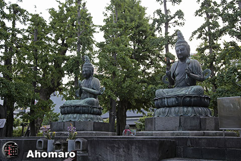 写真00