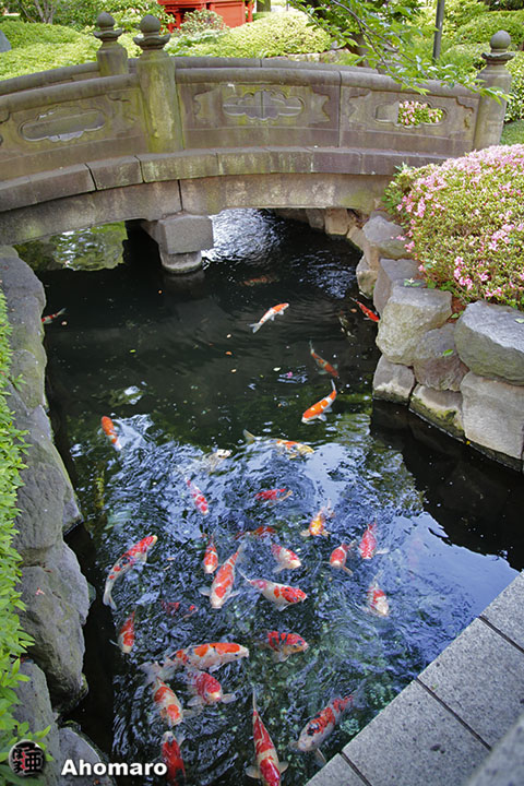 写真00