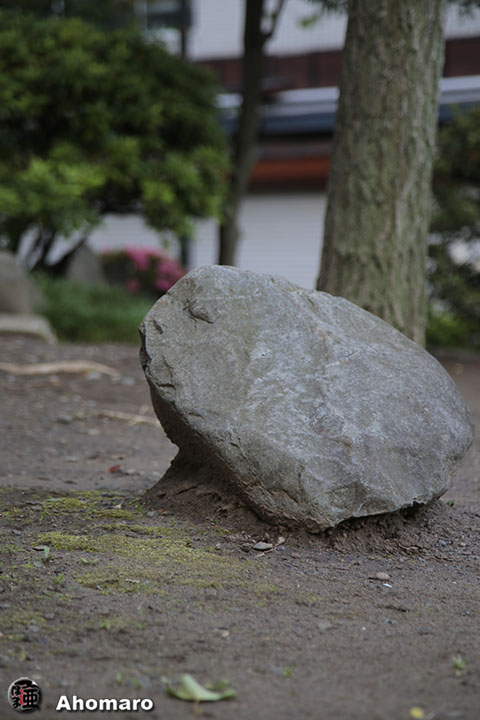 写真00