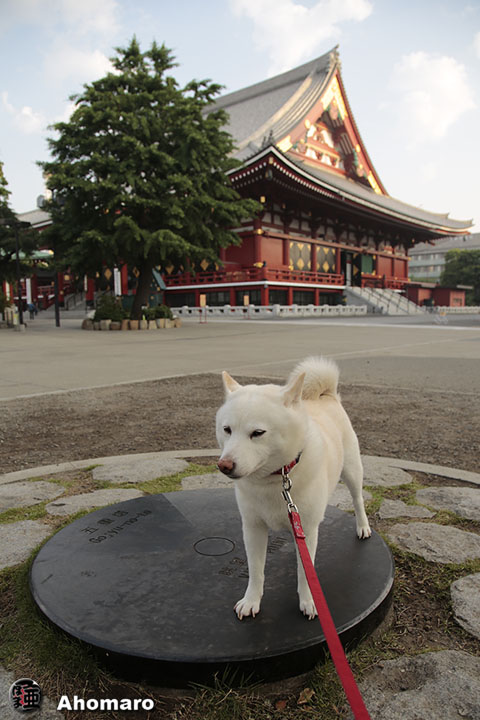 写真00