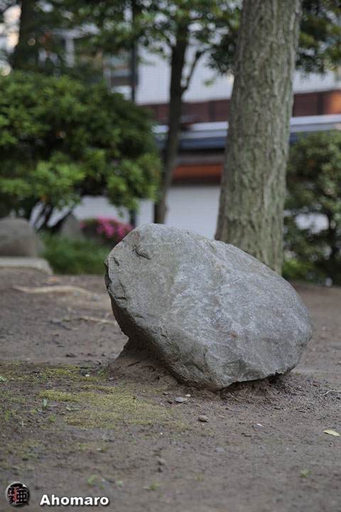 写真00