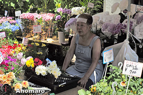 写真00