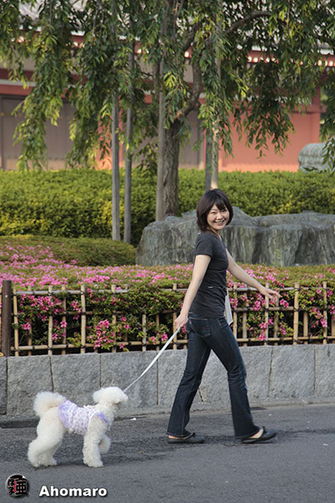 写真00