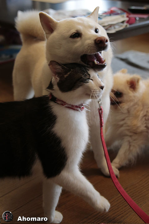 写真00