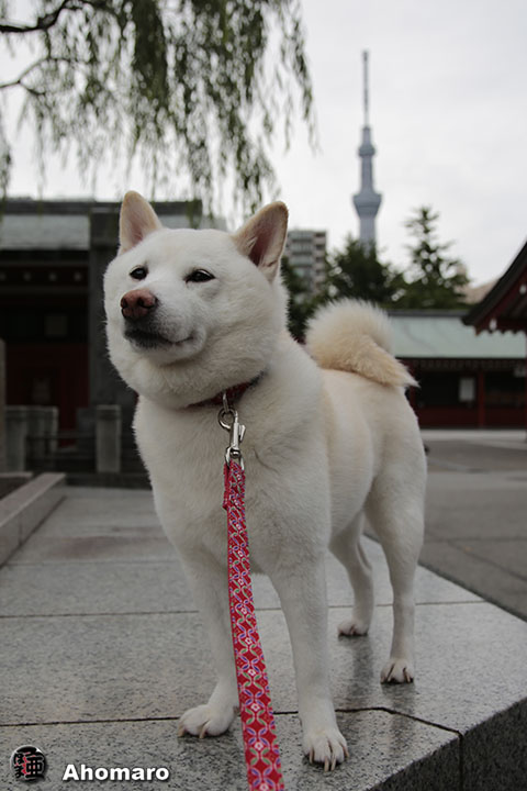 写真00