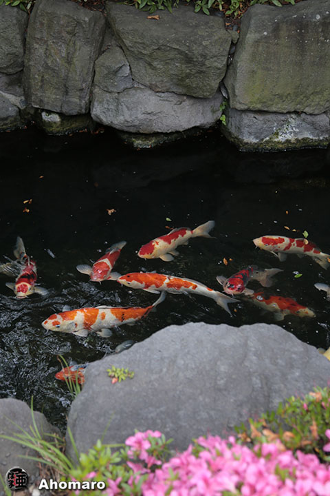 写真00