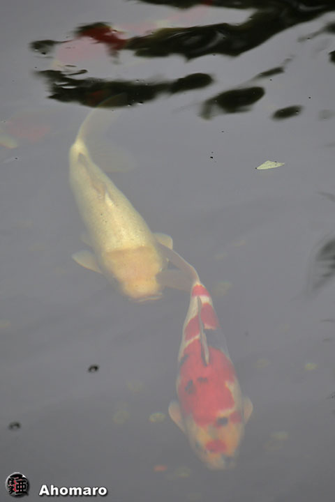 写真00