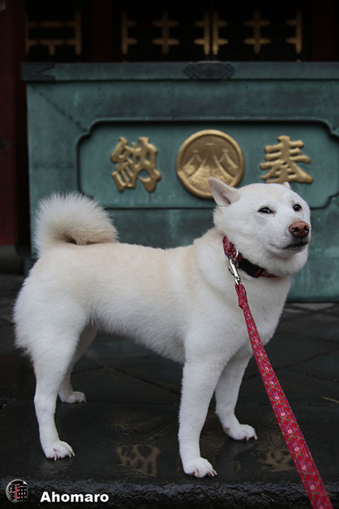 写真00