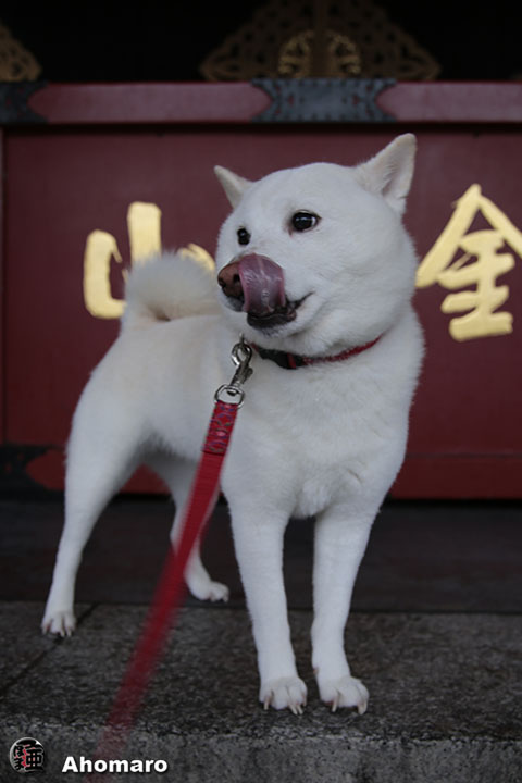 写真00