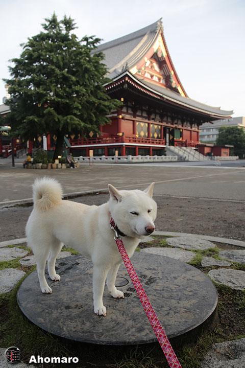 写真00