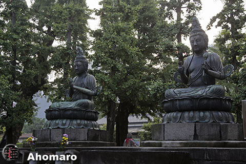写真00