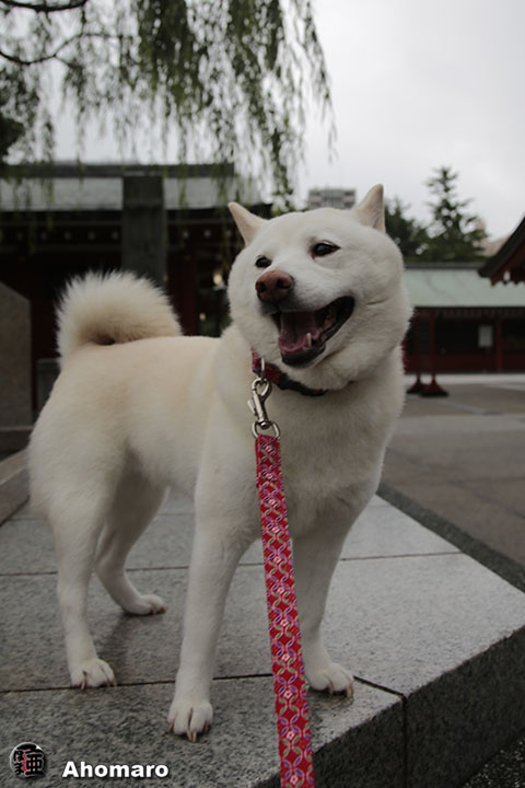 写真00