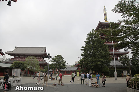 写真00