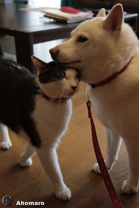 写真00