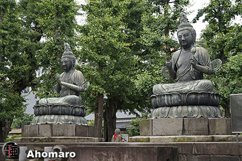 写真00