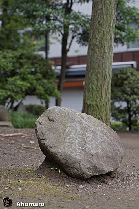 写真00