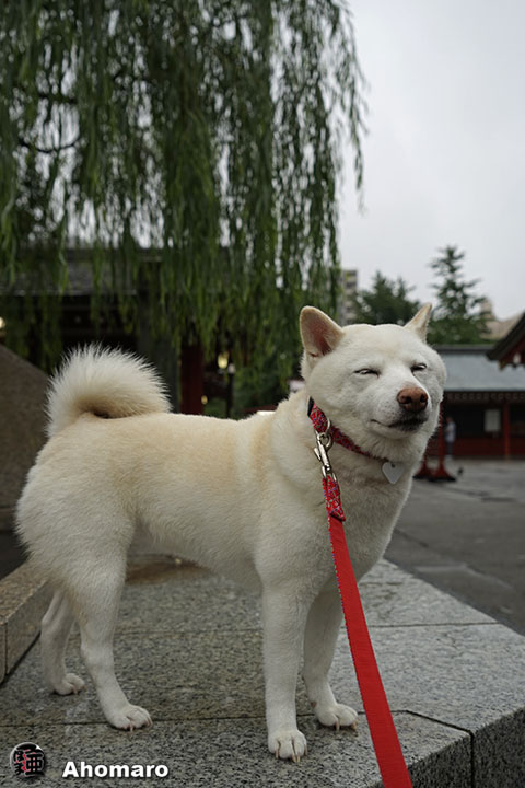 写真00