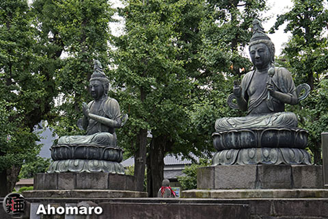 写真00