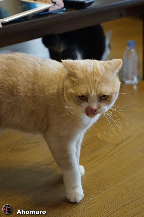 写真00