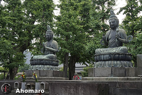 写真00