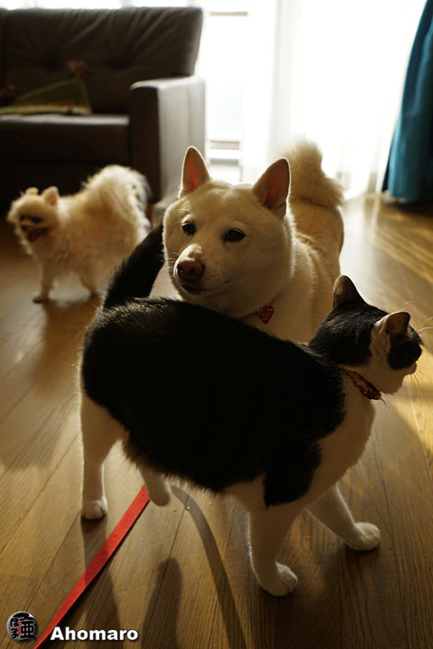 写真00