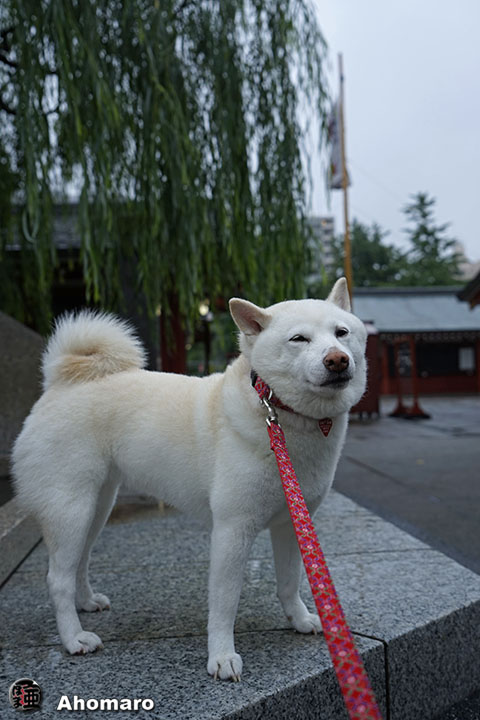 写真00