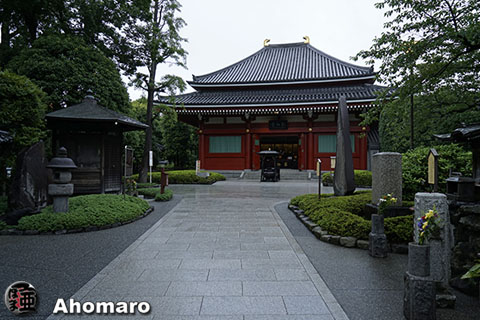写真00