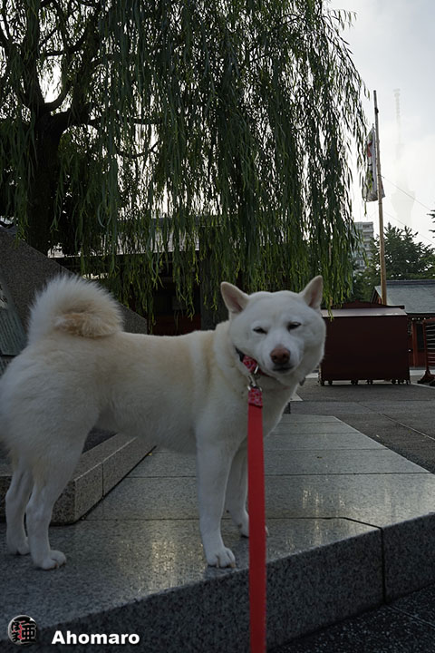 写真00