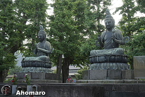 写真00
