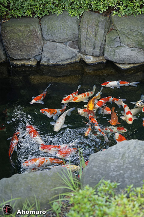 写真00