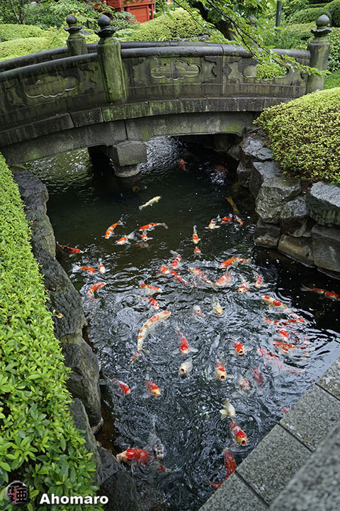 写真00