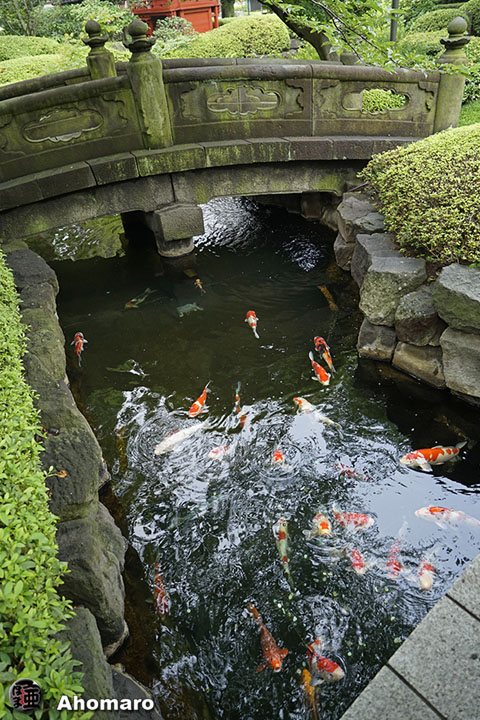 写真00