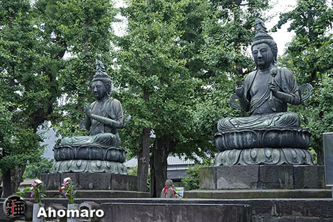 写真00