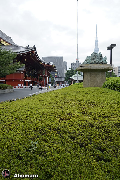 写真00