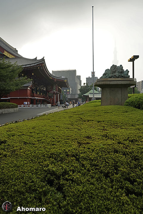 写真00